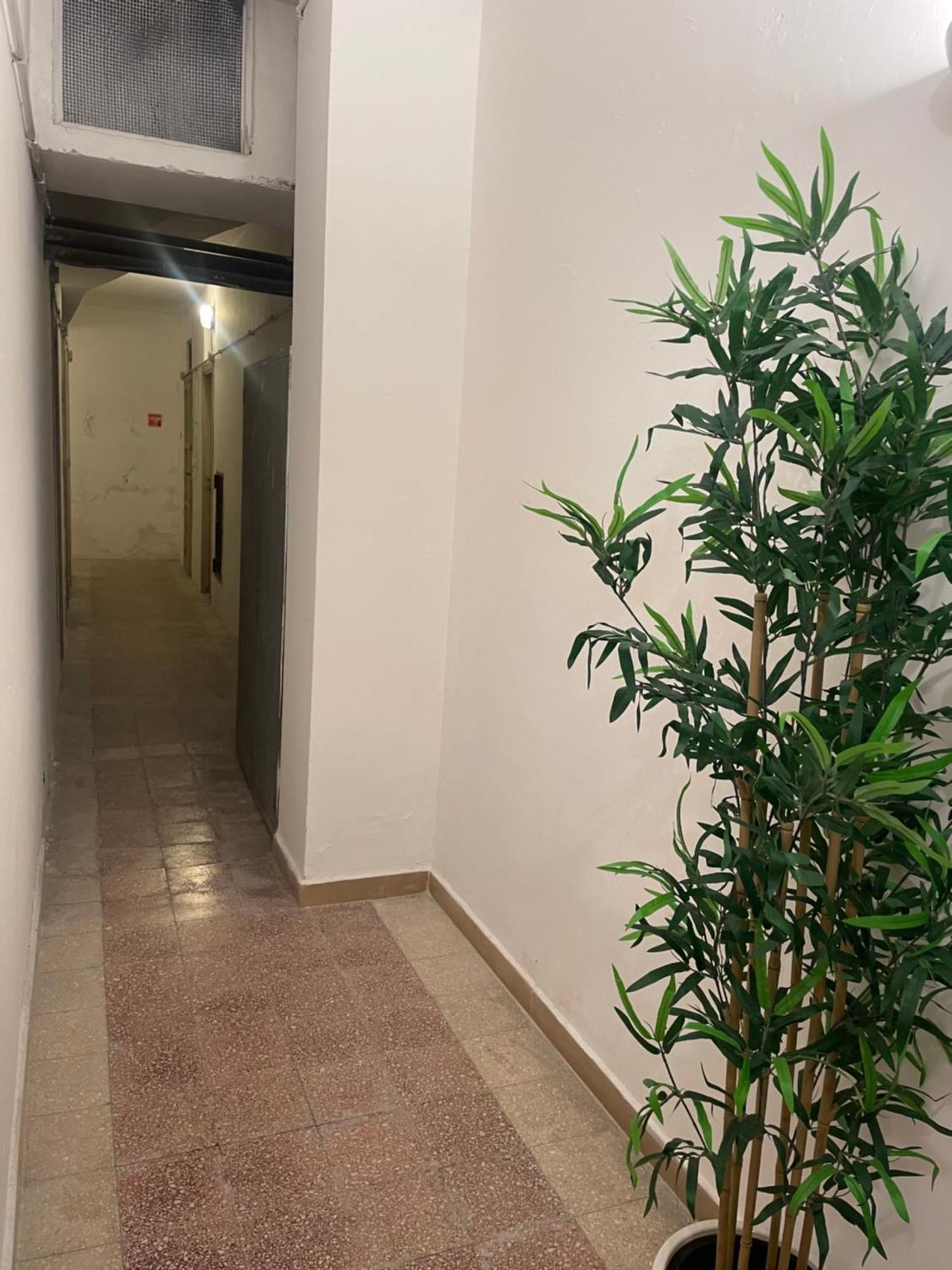 Apartamento Bilocale Socrates